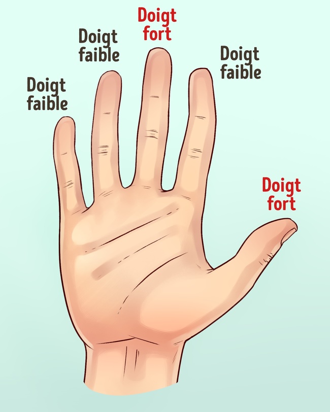 Que signifie la forme des mains et des doigts sur la personnalité ?